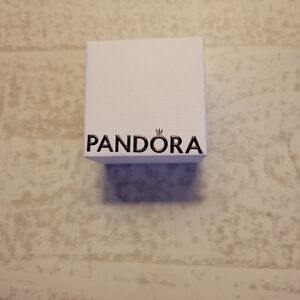 Pandora NWT Earring Gift Box